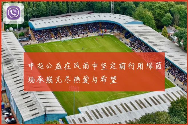 申花公益在风雨中坚定前行用绿茵场承载无尽热爱与希望