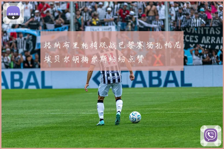格纳布里轮椅观战巴黎赛场孔帕尼埃贝尔胡梅尔斯纷纷点赞